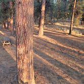 Review photo of Deschutes National Forest Lava Flow (North) Campground by Justin L., October 9, 2024