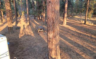 Justin L.'s photo at Deschutes National Forest Lava Flow (North) Campground near Gilchrist, OR