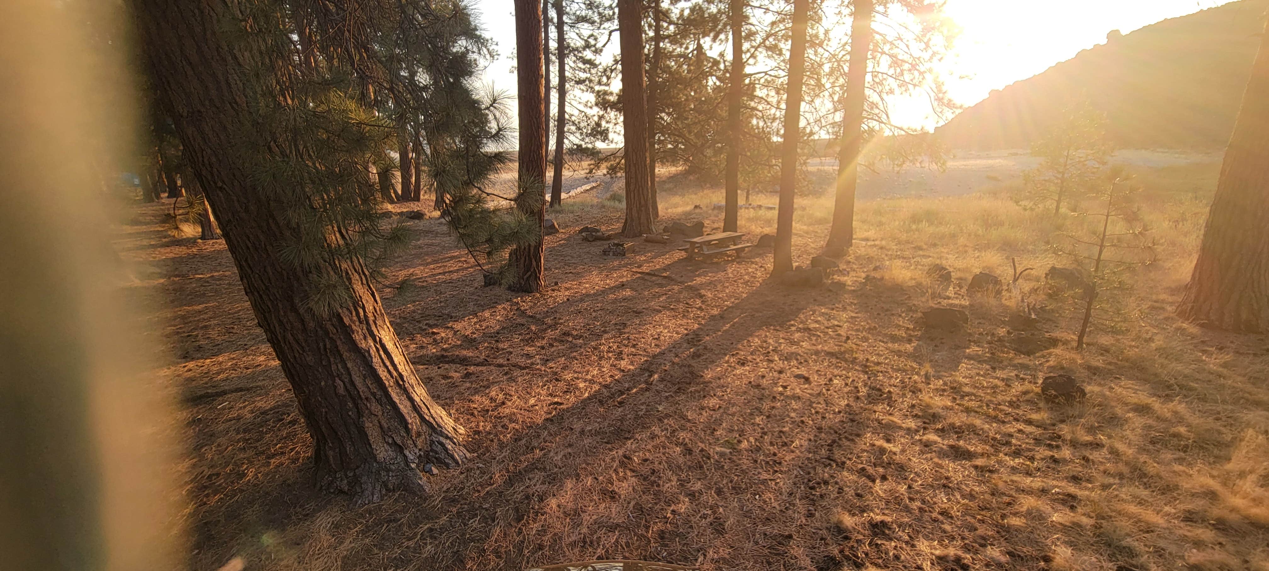 Camping near Crescent RV Park: Deschutes National Forest Lava Flow (North) Campground, Gilchrist, Oregon