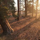 Review photo of Deschutes National Forest Lava Flow (North) Campground by Justin L., October 9, 2024