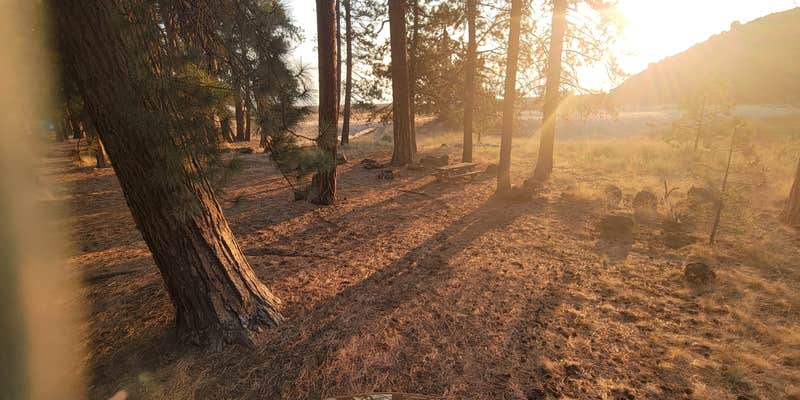 Camper submitted image from Deschutes National Forest Lava Flow (North) Campground