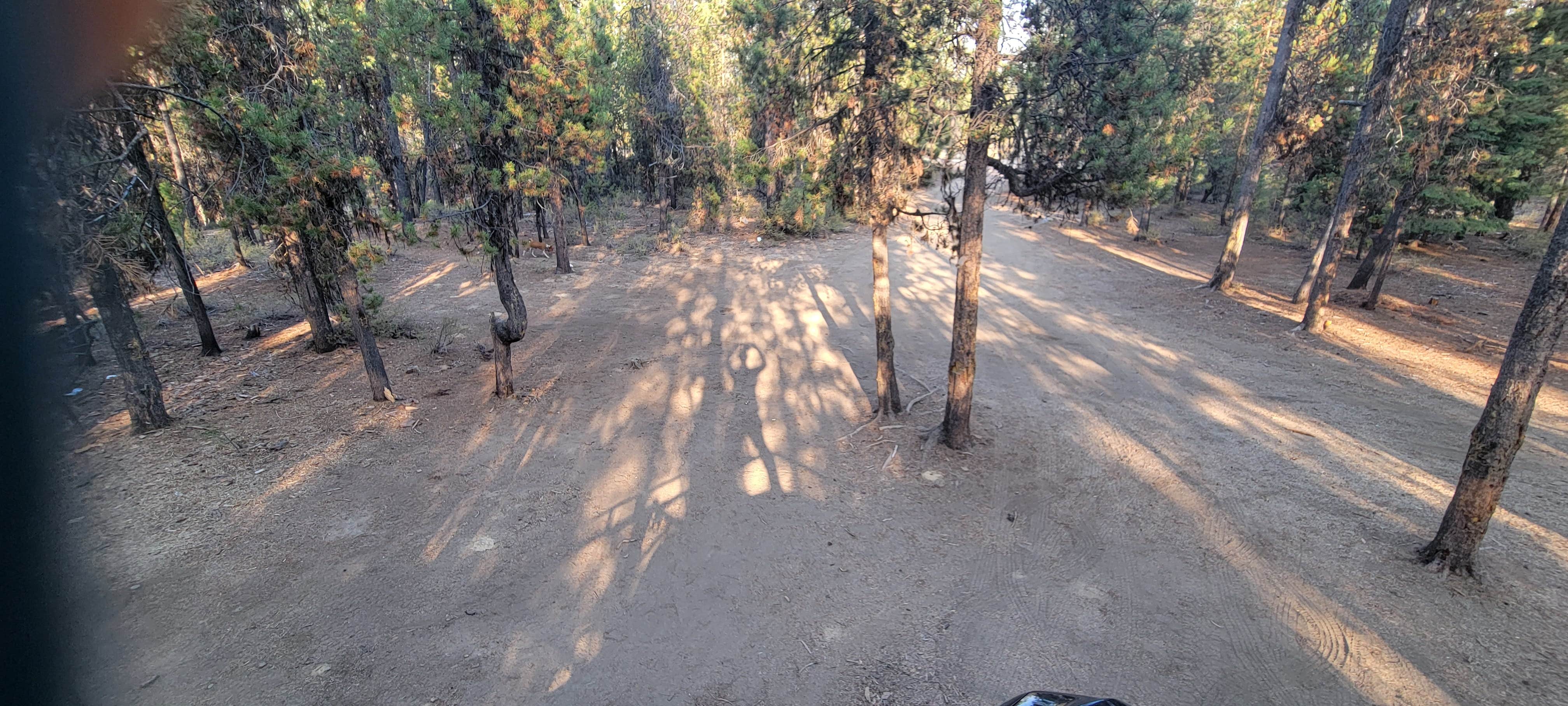 Camper submitted image from Deschutes National Forest Lava Flow (North) Campground - 3