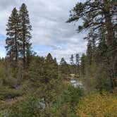 Review photo of South Shore Suttle Lake by Brett D., October 4, 2025