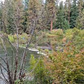 Review photo of South Shore Suttle Lake by Brett D., October 4, 2025