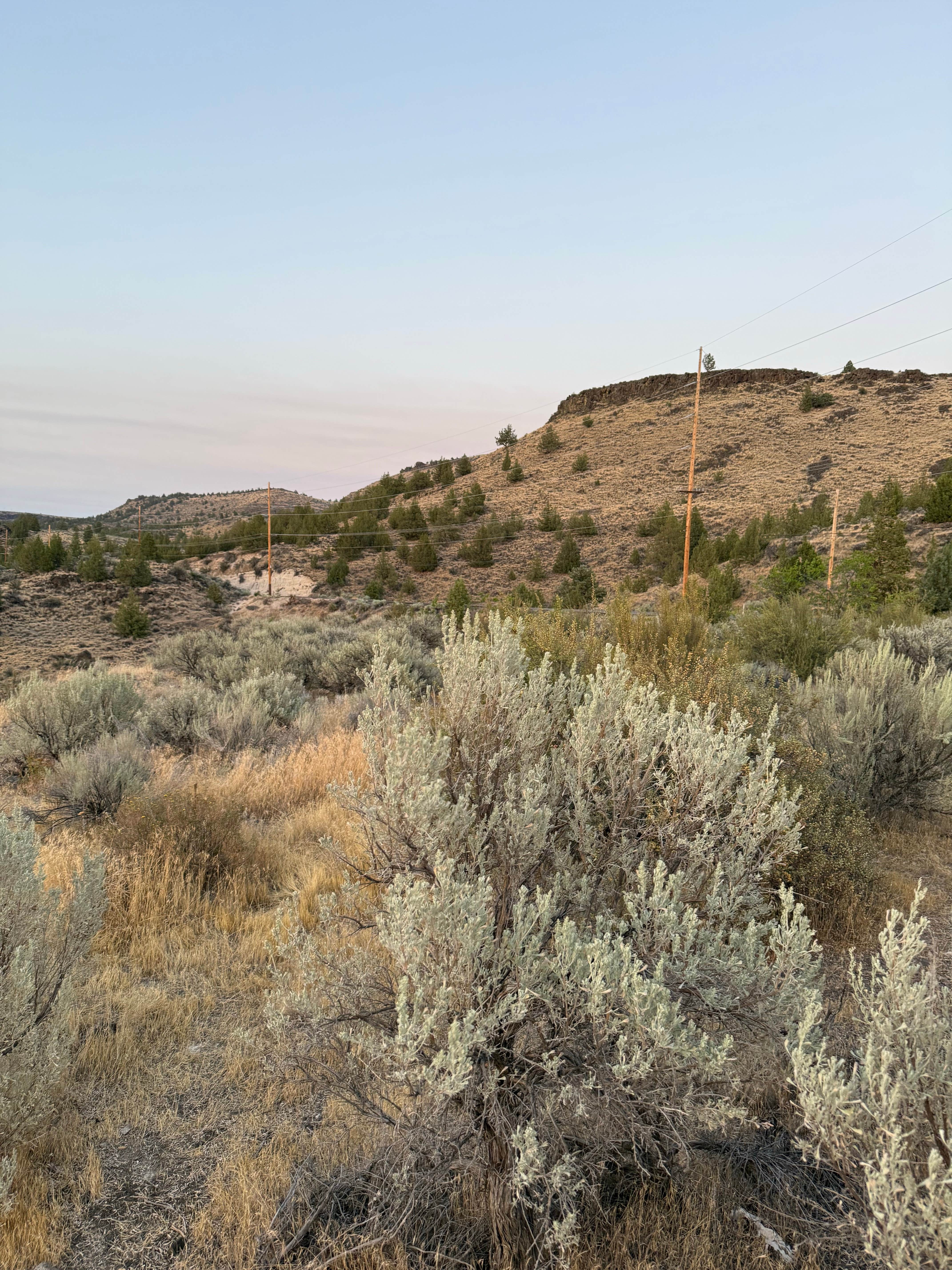 Camping near Skull Hollow Dispersed: Deschutes River Overlook Dispersed Camping, Alder Springs, Oregon