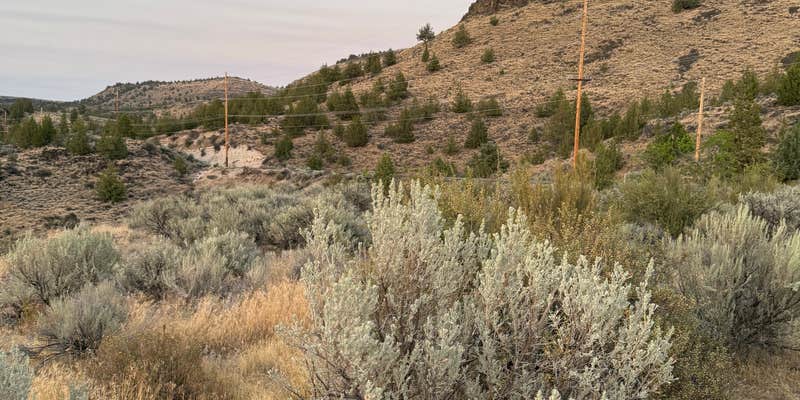 Camper submitted image from Deschutes River Overlook Dispersed Camping