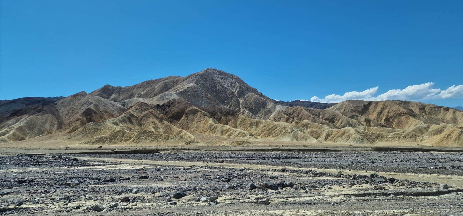 Camper-submitted photo at Desert Campsite The Pads near Mount Charleston, NV