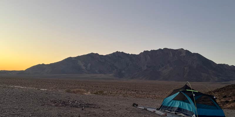 Camper submitted image from Desert Campsite The Pads