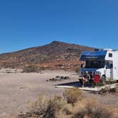 Review photo of Desert Campsite The Pads by Thomas R., September 30, 2025