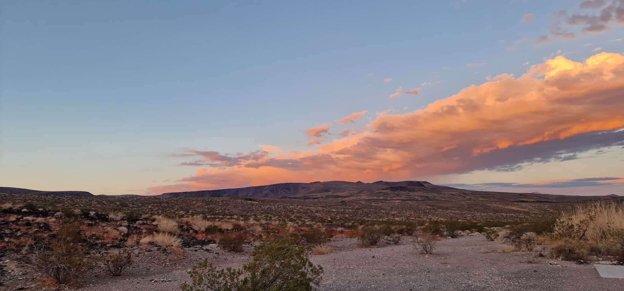 Camping near Mesquite Rd BLM Dispersed: Desert Campsite The Pads, Pahrump, Nevada