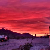 Review photo of Desert Gardens RV & Mobile Home Park by Bruce M., January 27, 2024