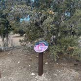 Review photo of Desert Pass Campground by dalton S., March 22, 2025