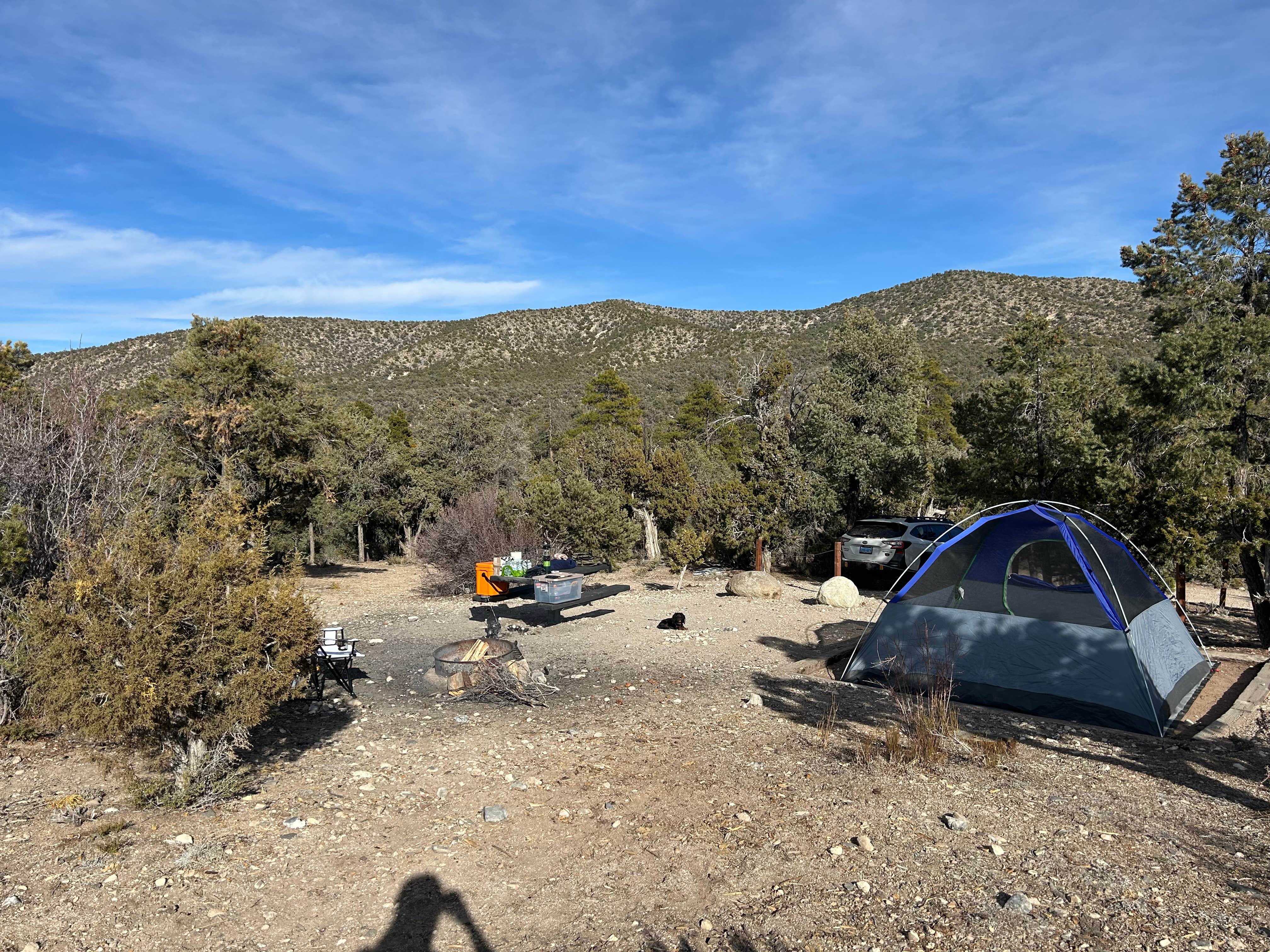 dalton S.'s photo of camping with pets at Desert Pass Campground near North Las Vegas, NV