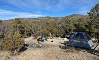 dalton S.'s photo of camping with pets at Desert Pass Campground near Nellis Air Force Base, NV