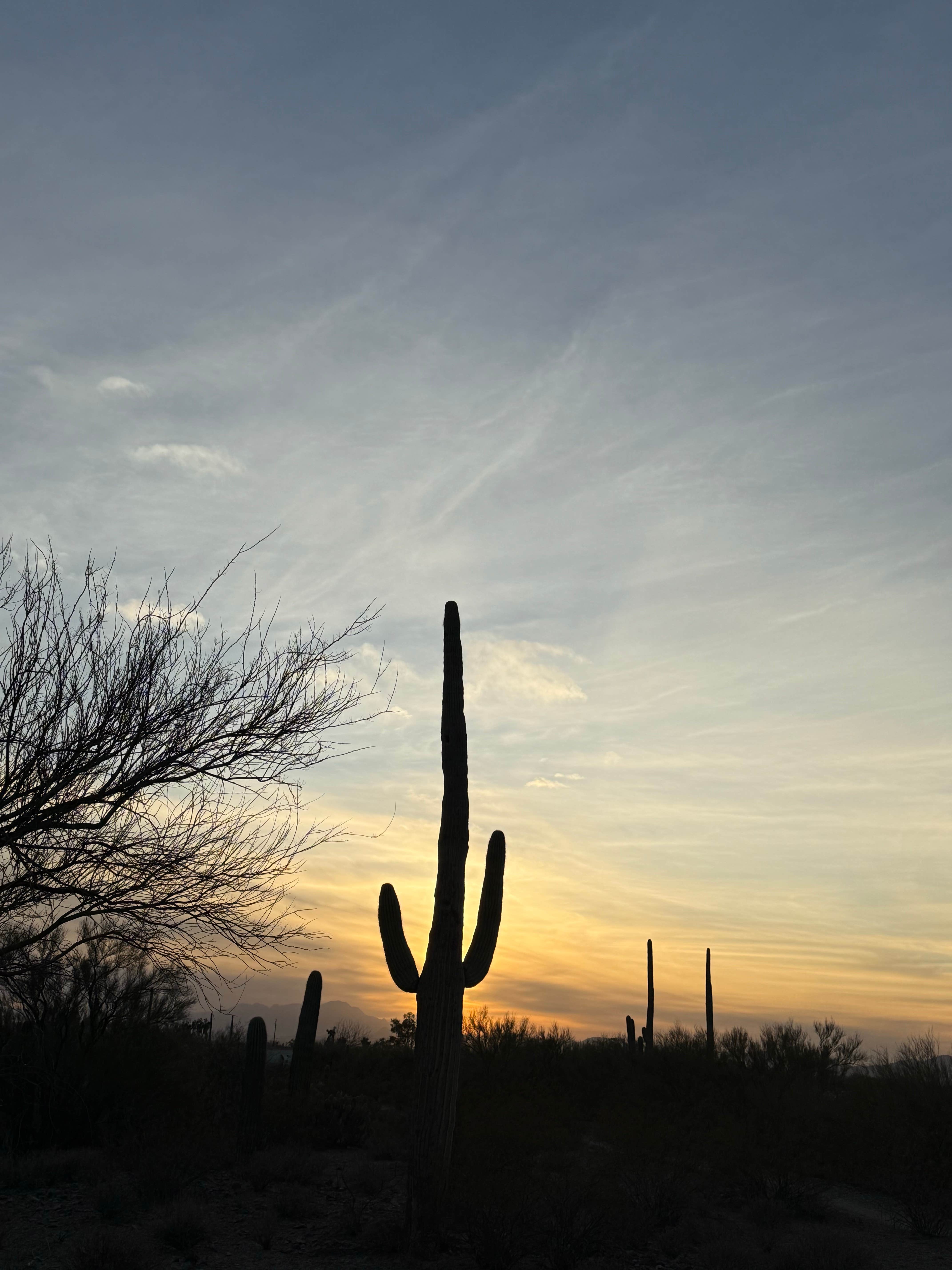 Camper-submitted photo at Desert Trails RV Park - Adult-only Resort near Oro Valley, AZ
