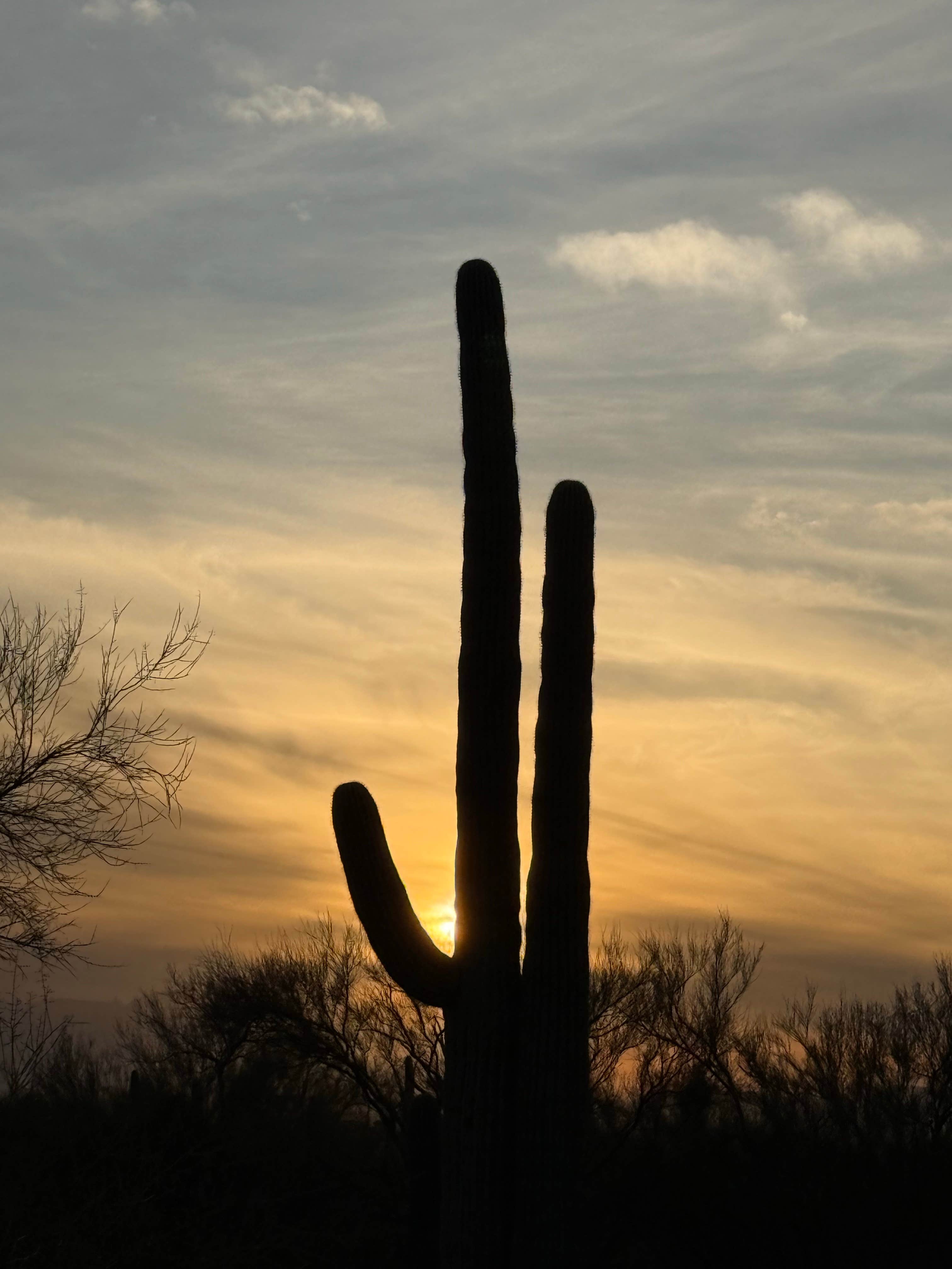Camper-submitted photo at Desert Trails RV Park - Adult-only Resort near Topawa, AZ