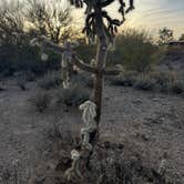 Review photo of Desert Trails RV Park - Adult-only Resort by Diane M., January 25, 2025