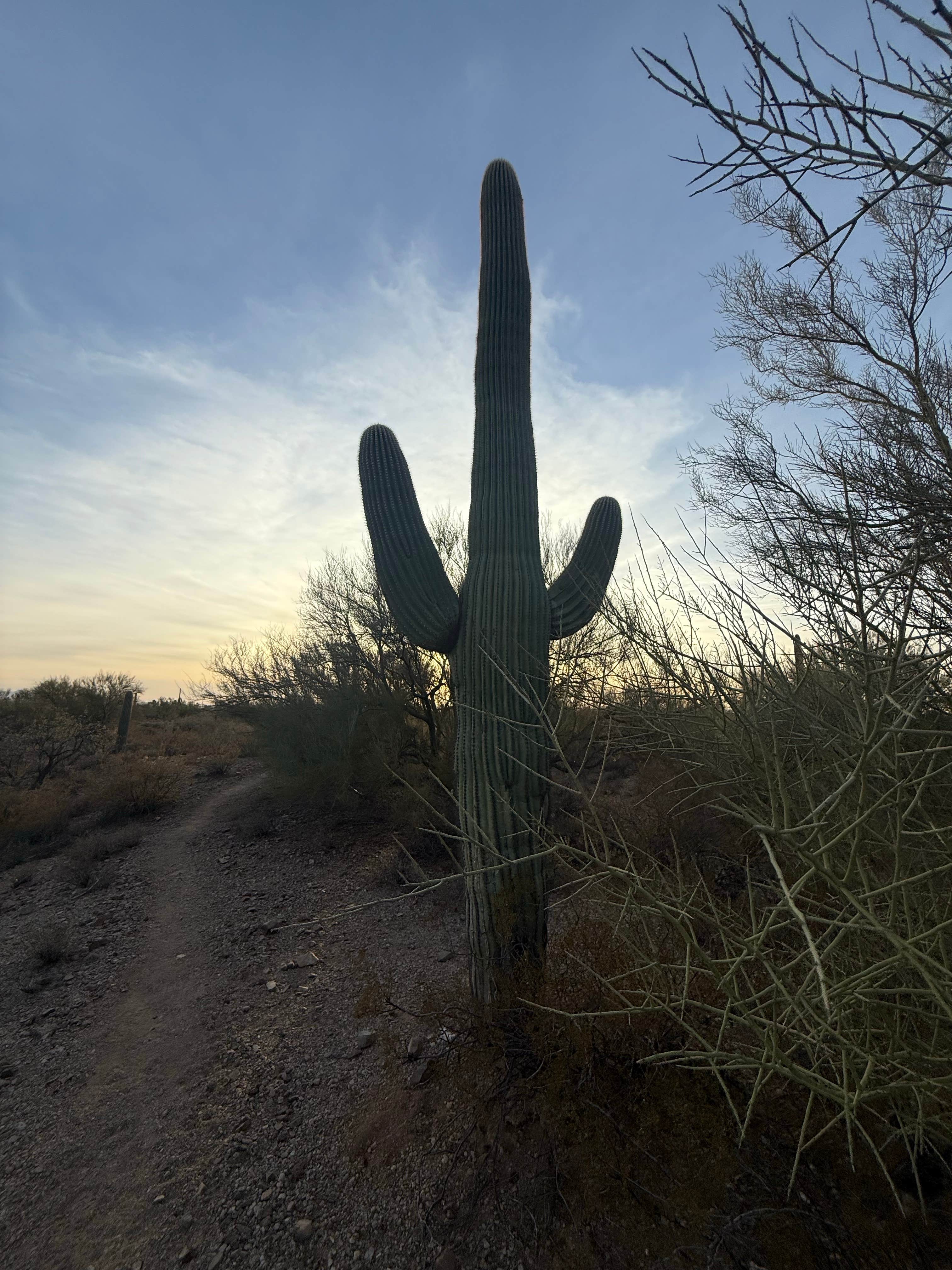 Camper-submitted photo at Desert Trails RV Park - Adult-only Resort near Oro Valley, AZ