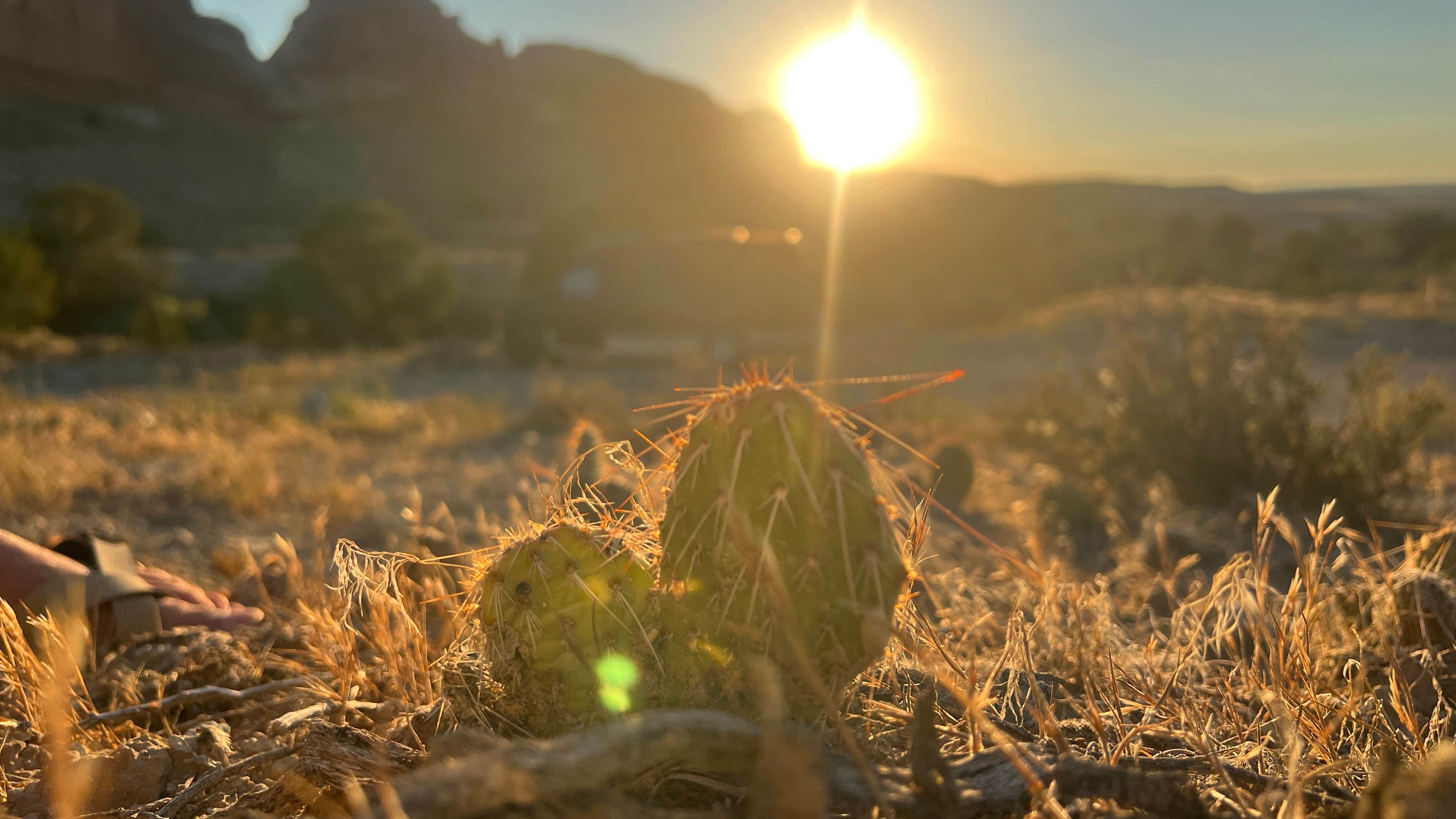 Camper-submitted photo at Designated Campsite near Green River, UT