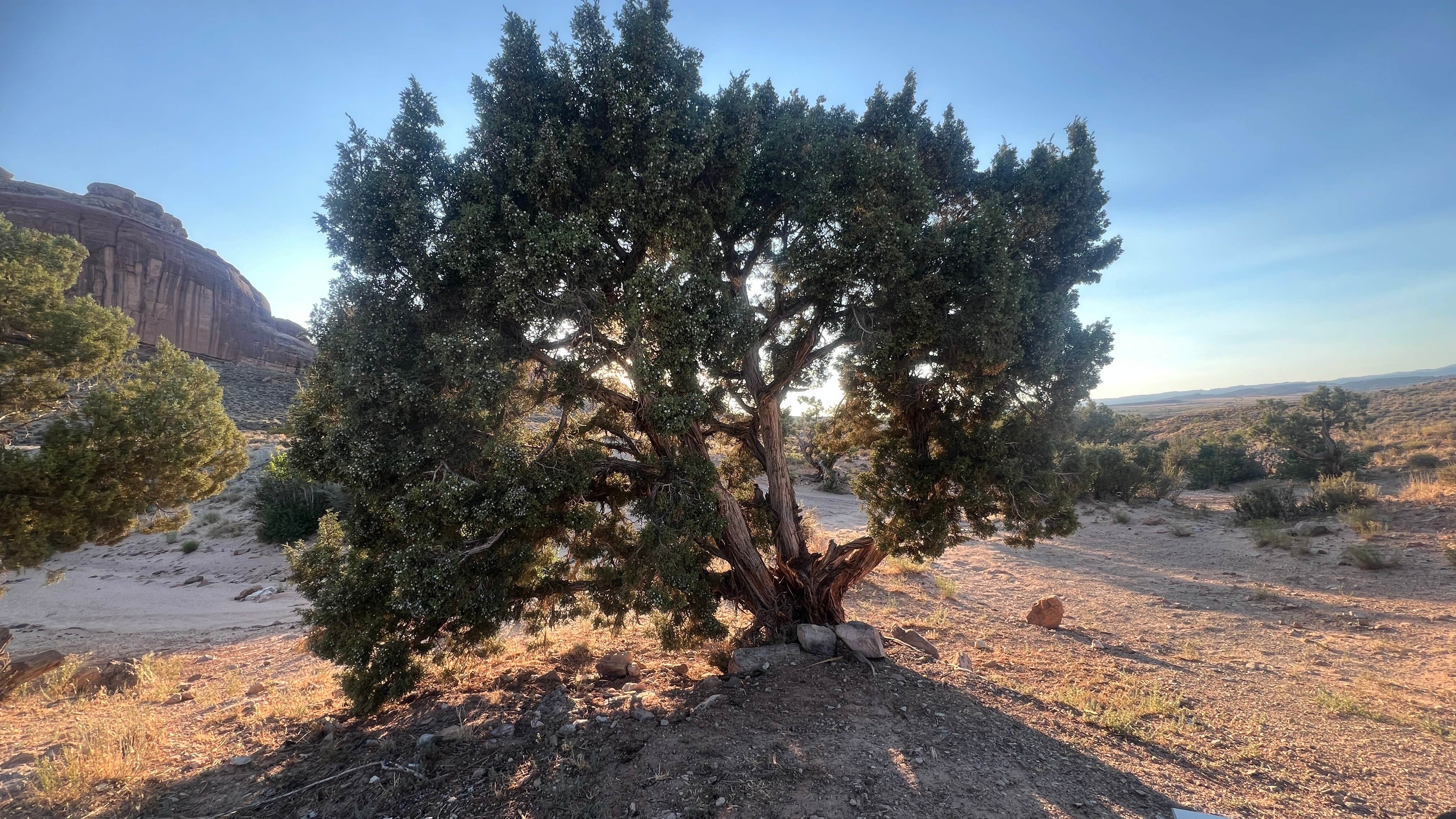 Camper-submitted photo at Designated Campsite near Green River, UT