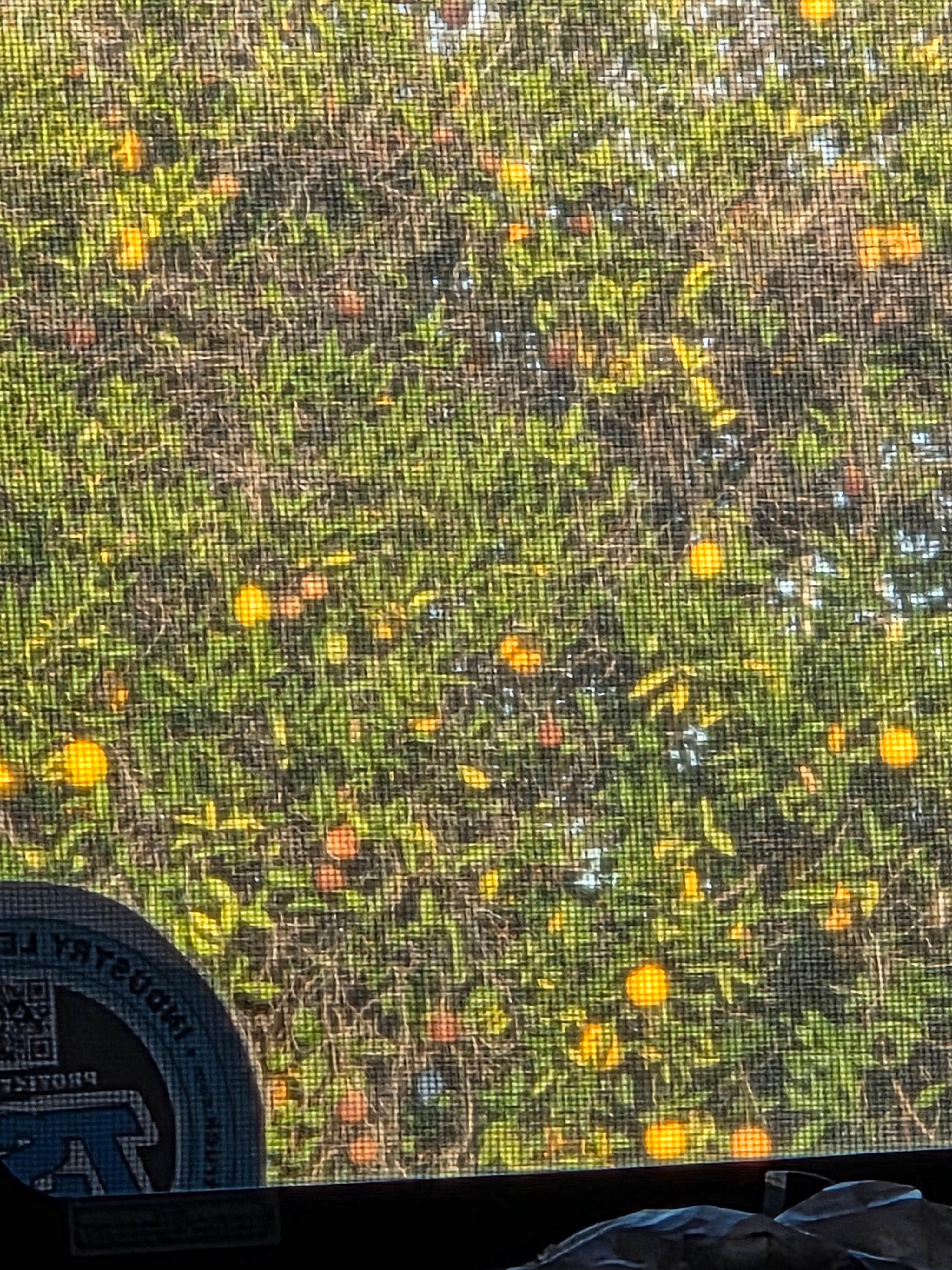 Camper-submitted photo at Destiny Phoenix RV Resorts near Avondale, AZ