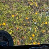 Review photo of Destiny Phoenix RV Resorts by Paula K., January 5, 2026