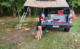 Dane J.'s photo of camping with pets at Devils Backbone Camp near Roseland, VA