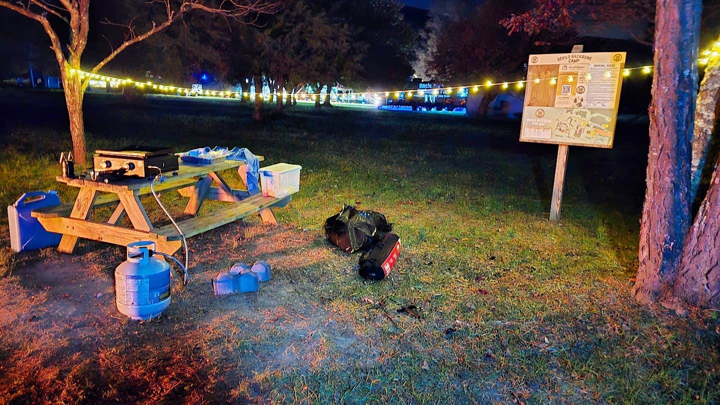 Wayne T.'s photo of camping with pets at Devils Backbone Camp near Crimora, VA