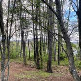 Review photo of Devils Backbone Camp by Brad W., April 21, 2024