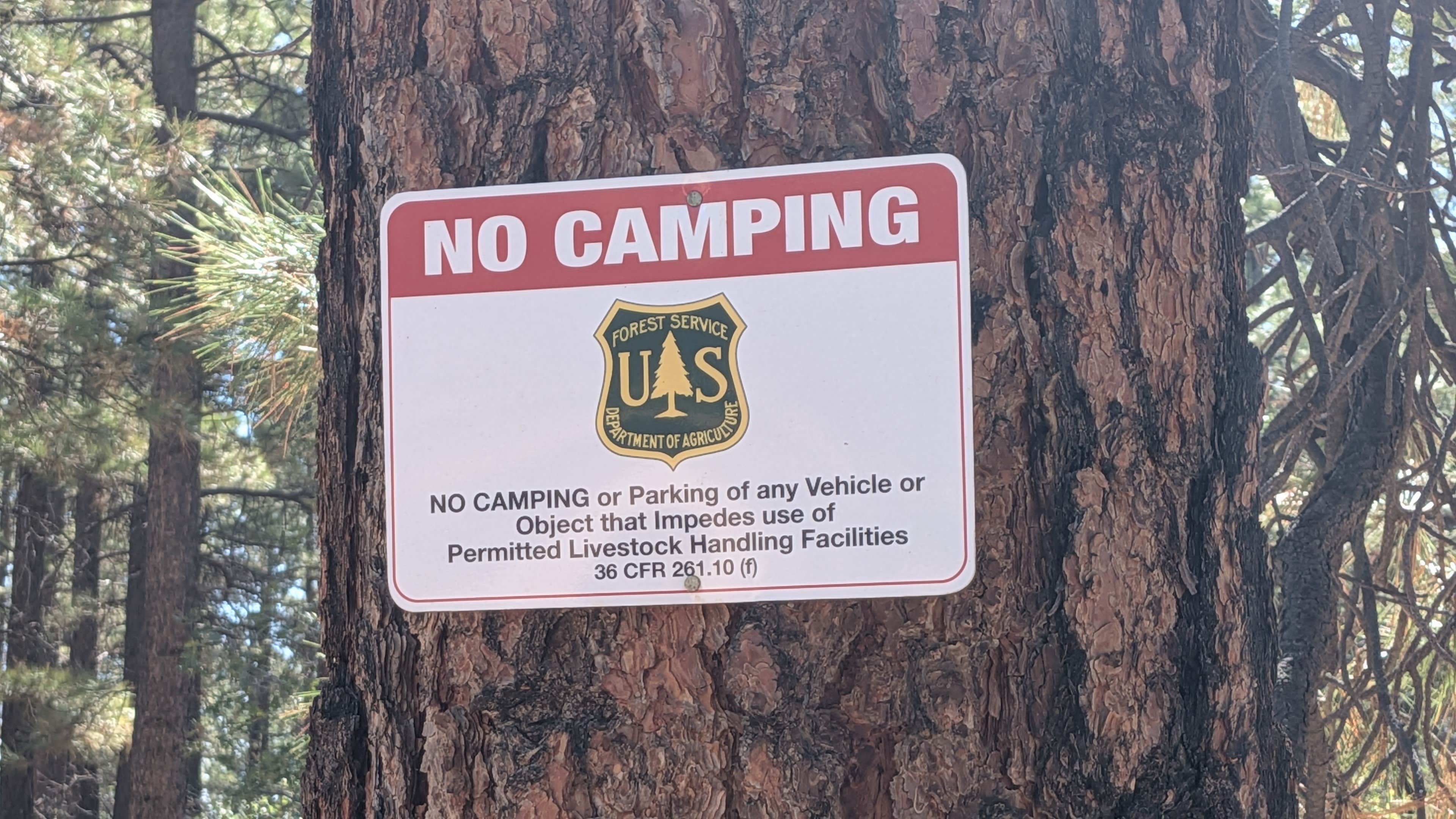 Camper-submitted photo at Devil's Canyon Dispersed Site near Blanding, UT