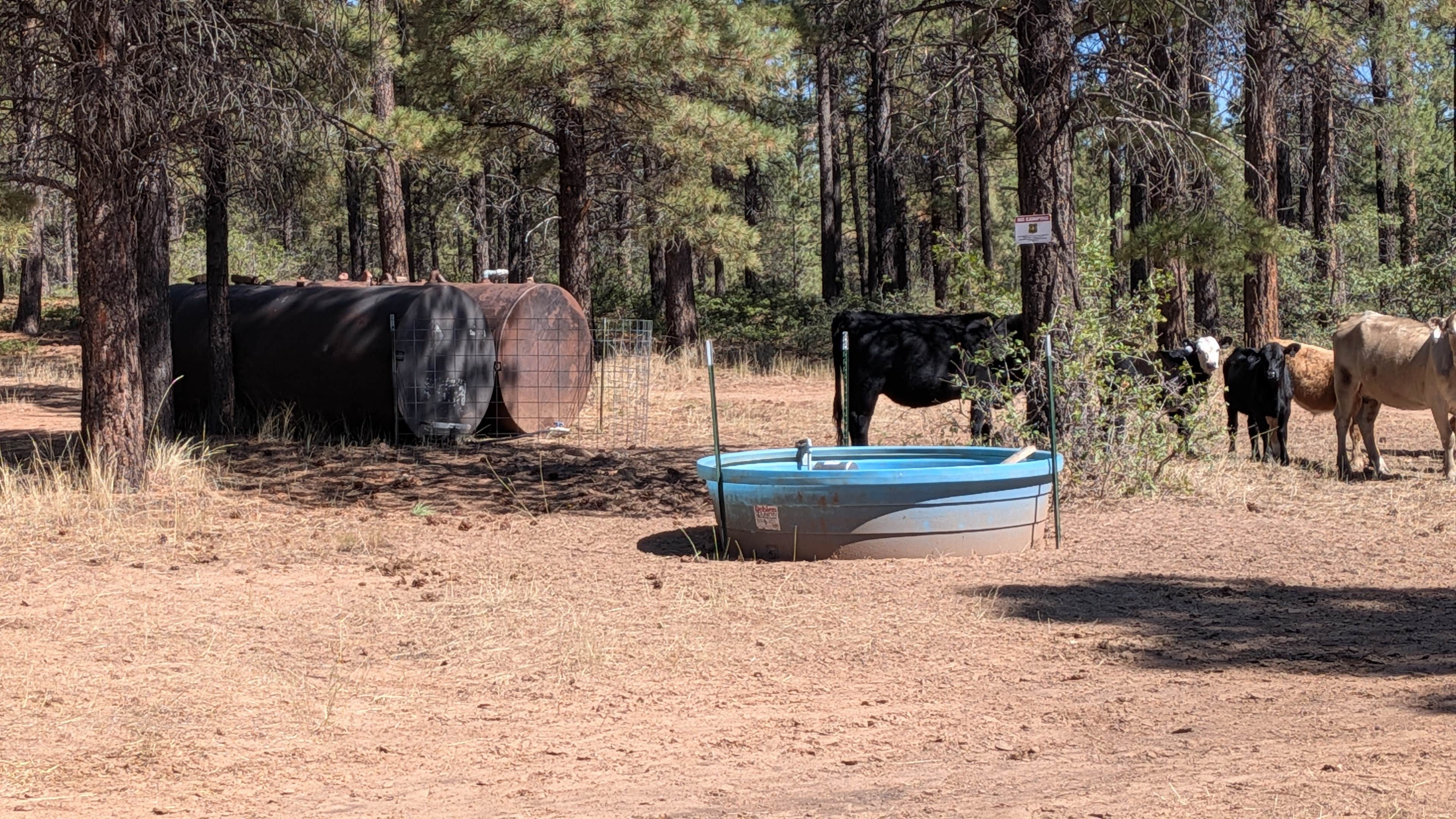 Camper-submitted photo at Devil's Canyon Dispersed Site near Blanding, UT