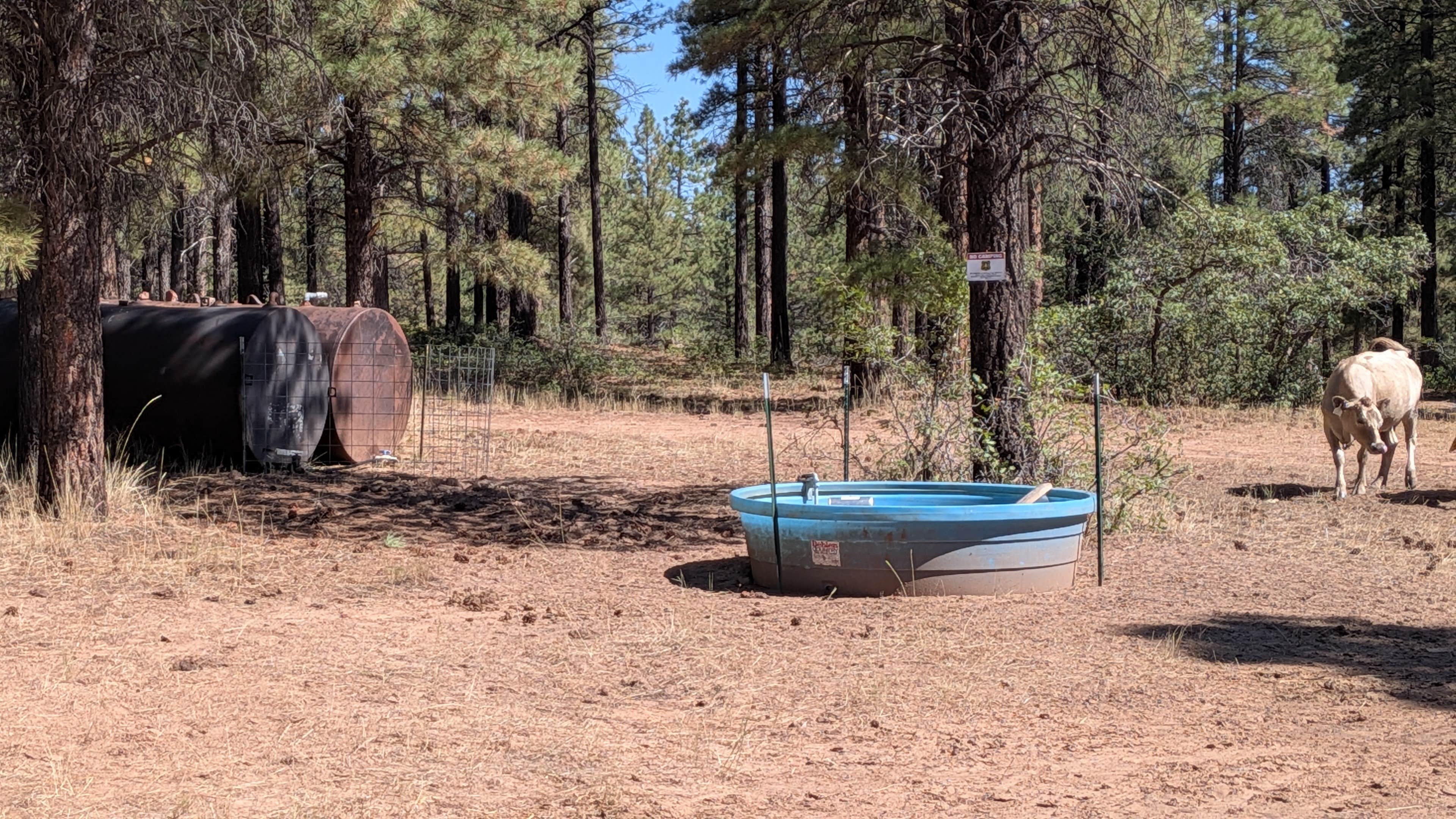Camper-submitted photo at Devil's Canyon Dispersed Site near Blanding, UT