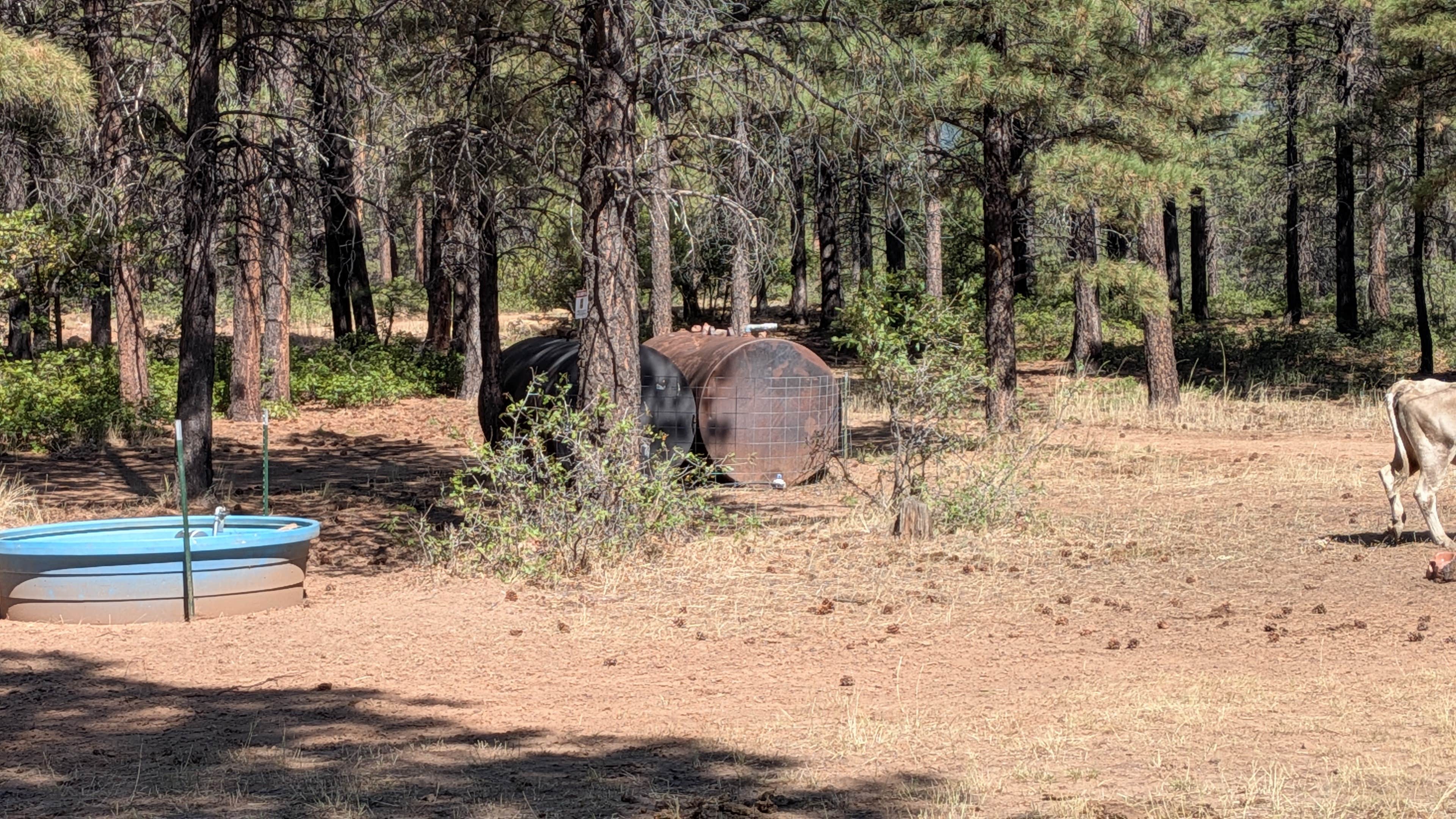Camper submitted image from Devil's Canyon Dispersed Site - 5