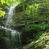 Review photo of devil's den state park by Shawn S., June 3, 2026