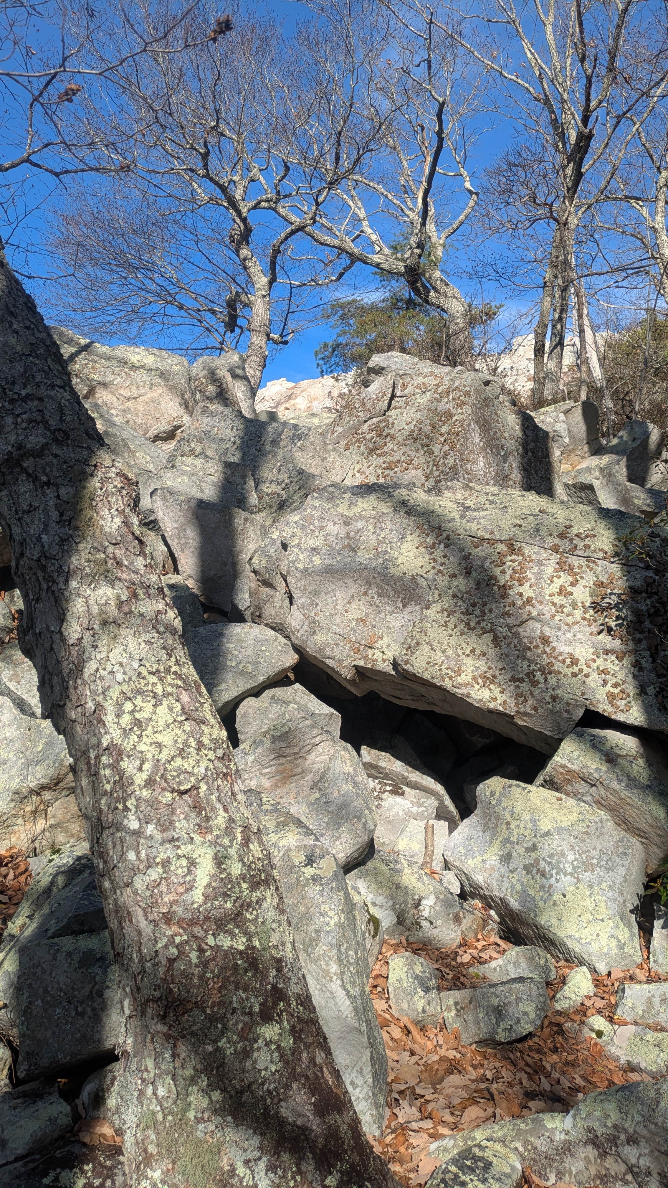 Camper submitted image from Devil's Marbleyard - 1
