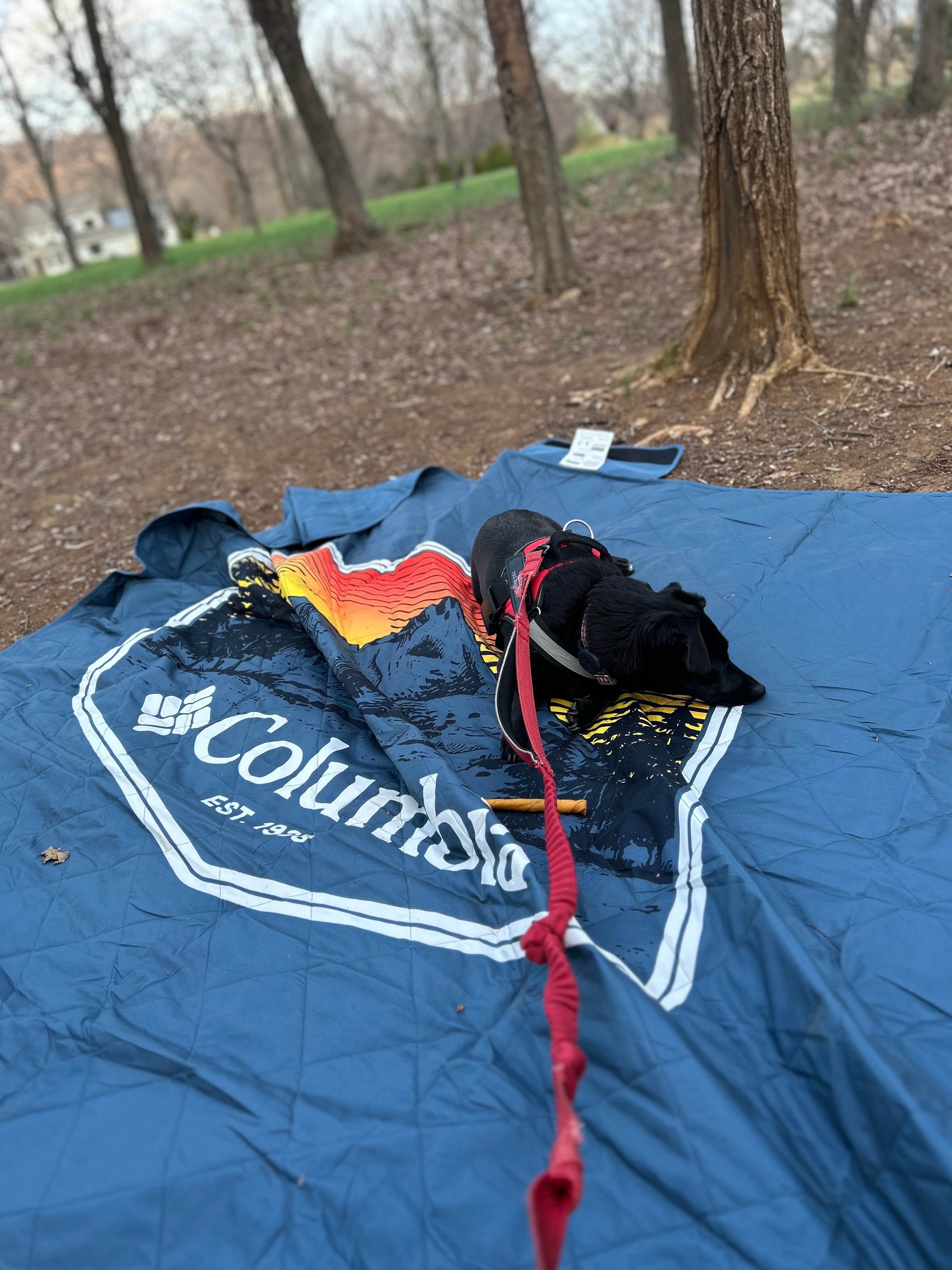 Kim G.'s photo of camping with pets at Devils Backbone Camp near Farmville, VA