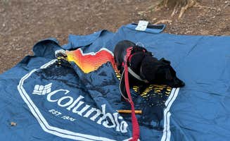 Kim G.'s photo of camping with pets at Devils Backbone Camp near Raphine, VA