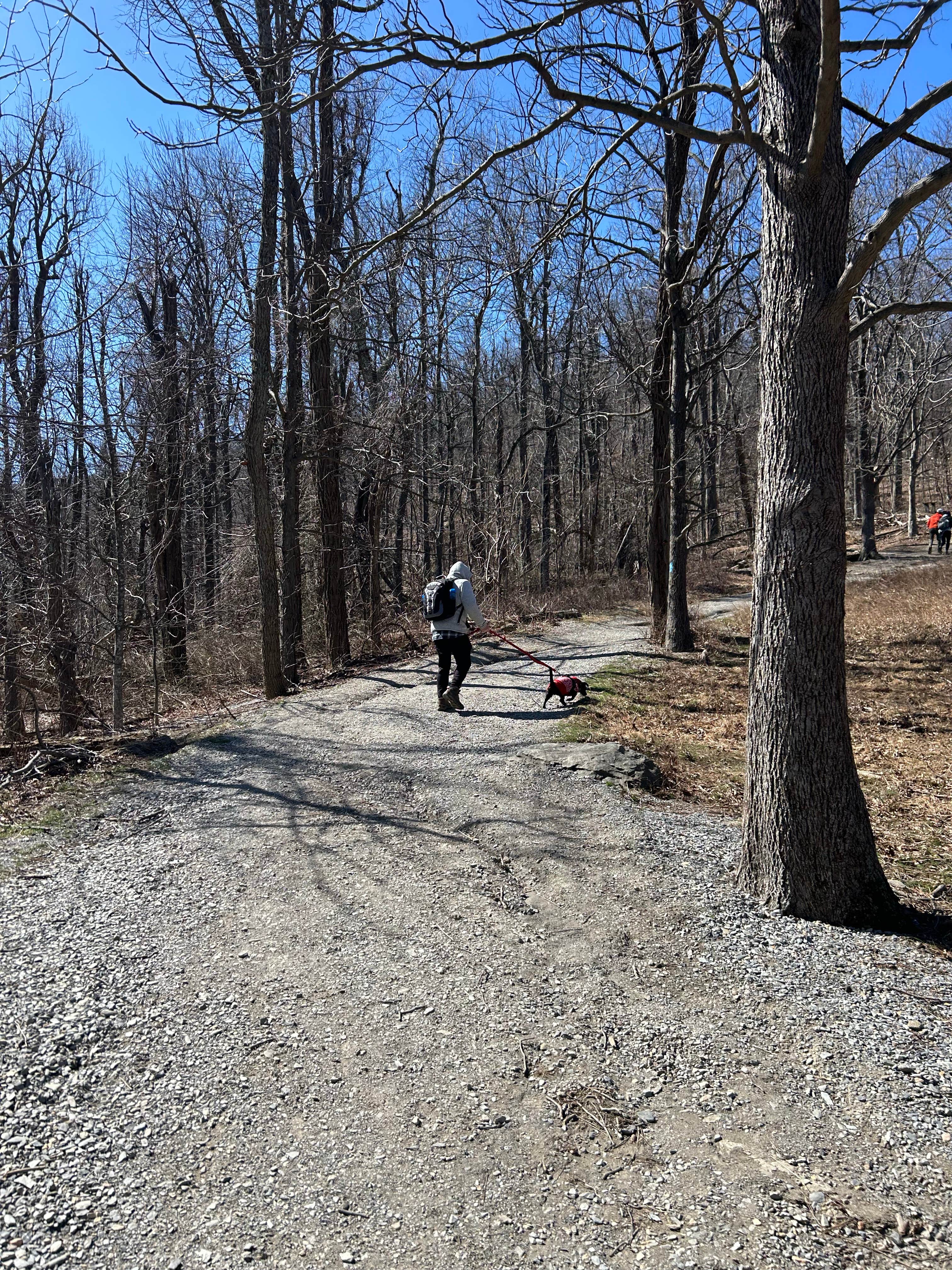 Kim G.'s photo of camping with pets at Devils Backbone Camp near Palmyra, VA