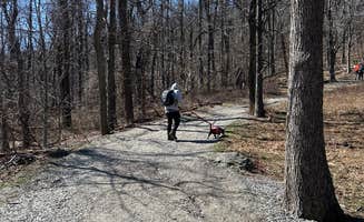 Kim G.'s photo of camping with pets at Devils Backbone Camp near Afton, VA