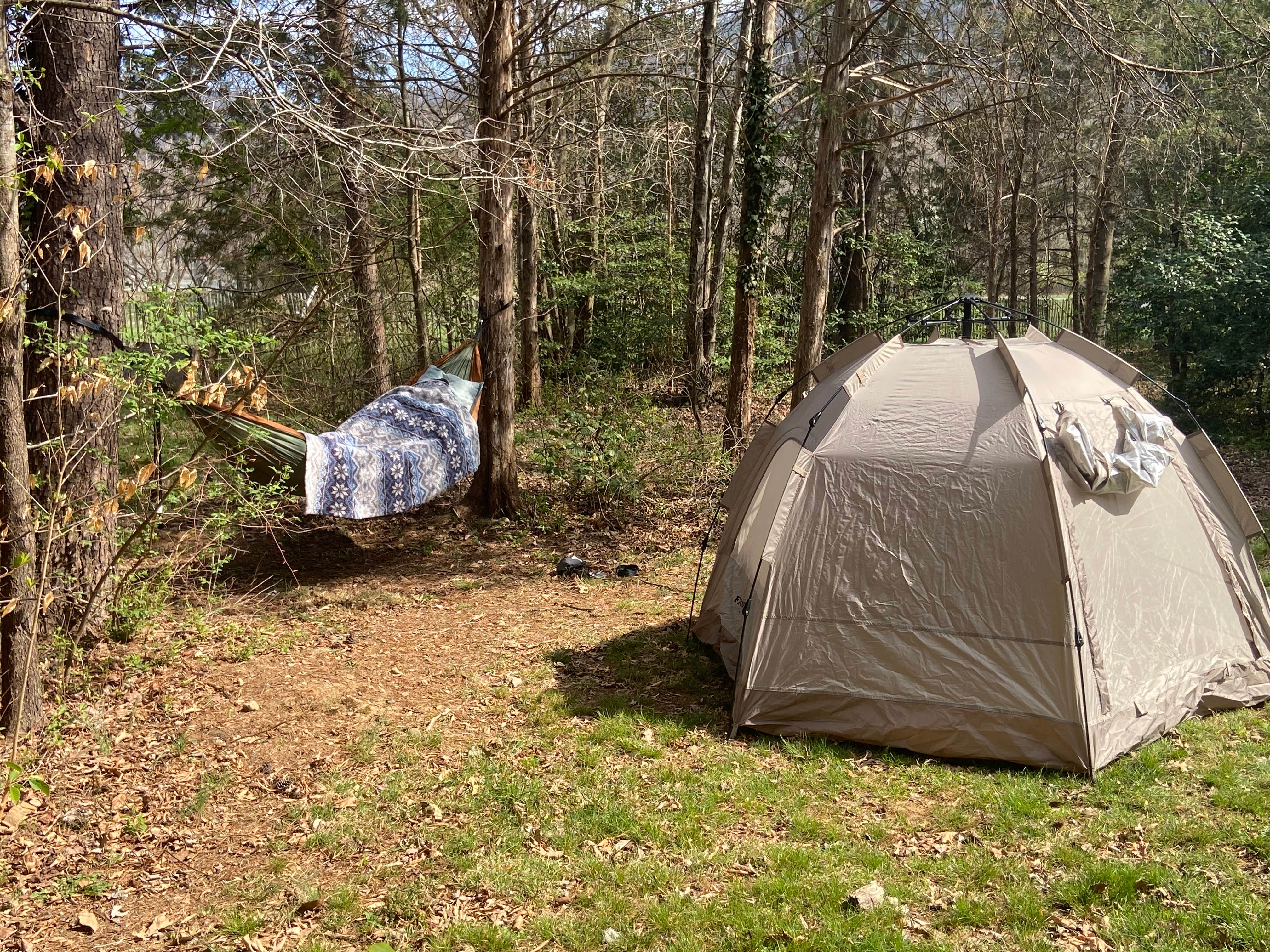 Victoria's photo at Devils Backbone Camp near Vesuvius, VA