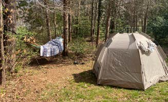 Victoria's photo at Devils Backbone Camp near Crozet, VA