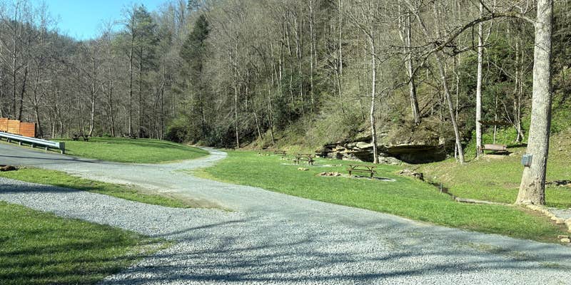 Camper submitted image from Devils Fork Campground