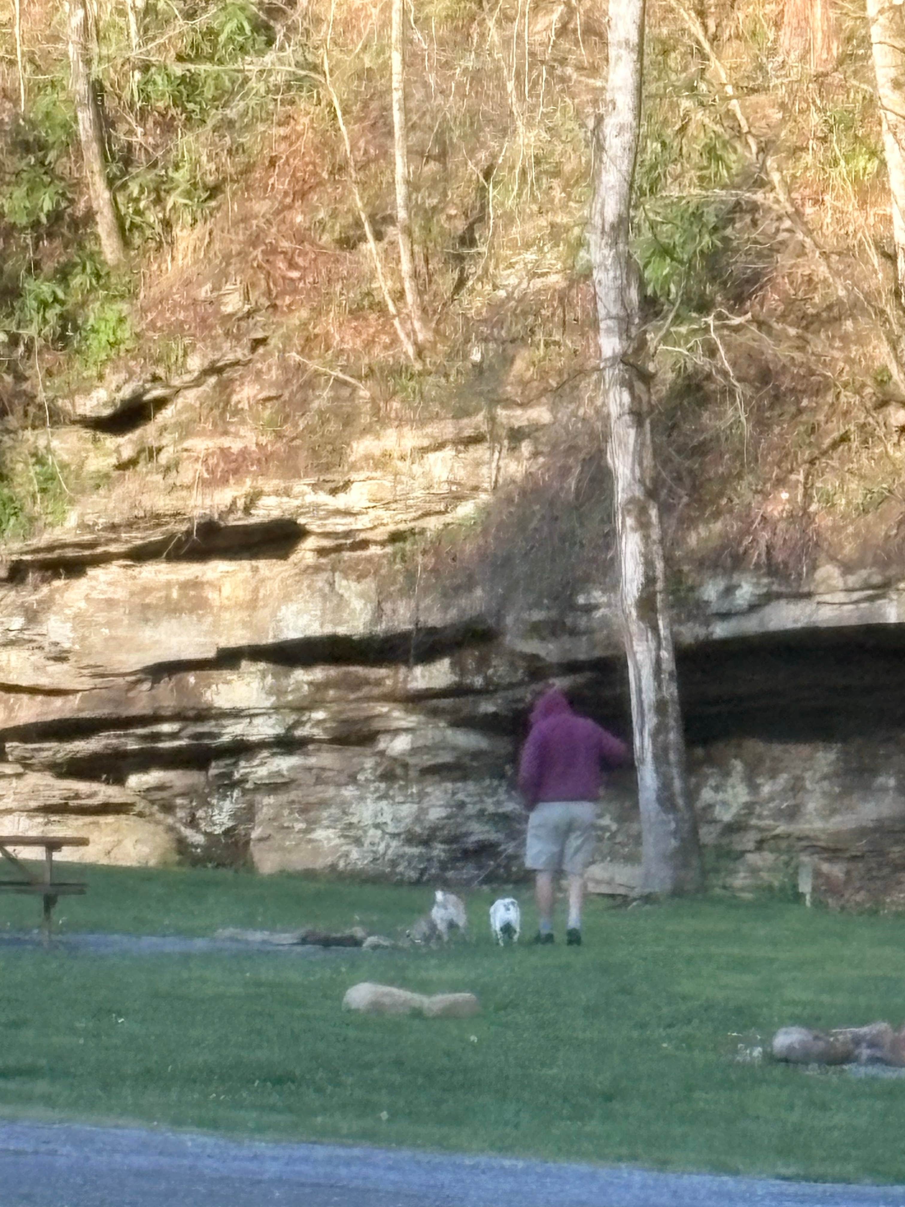 Devils Fork Campground