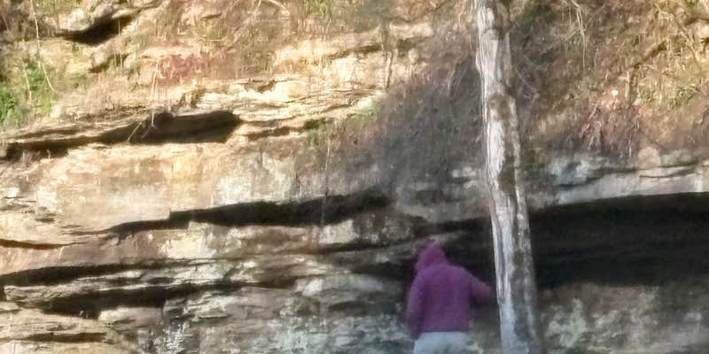 Camper submitted image from Devils Fork Campground