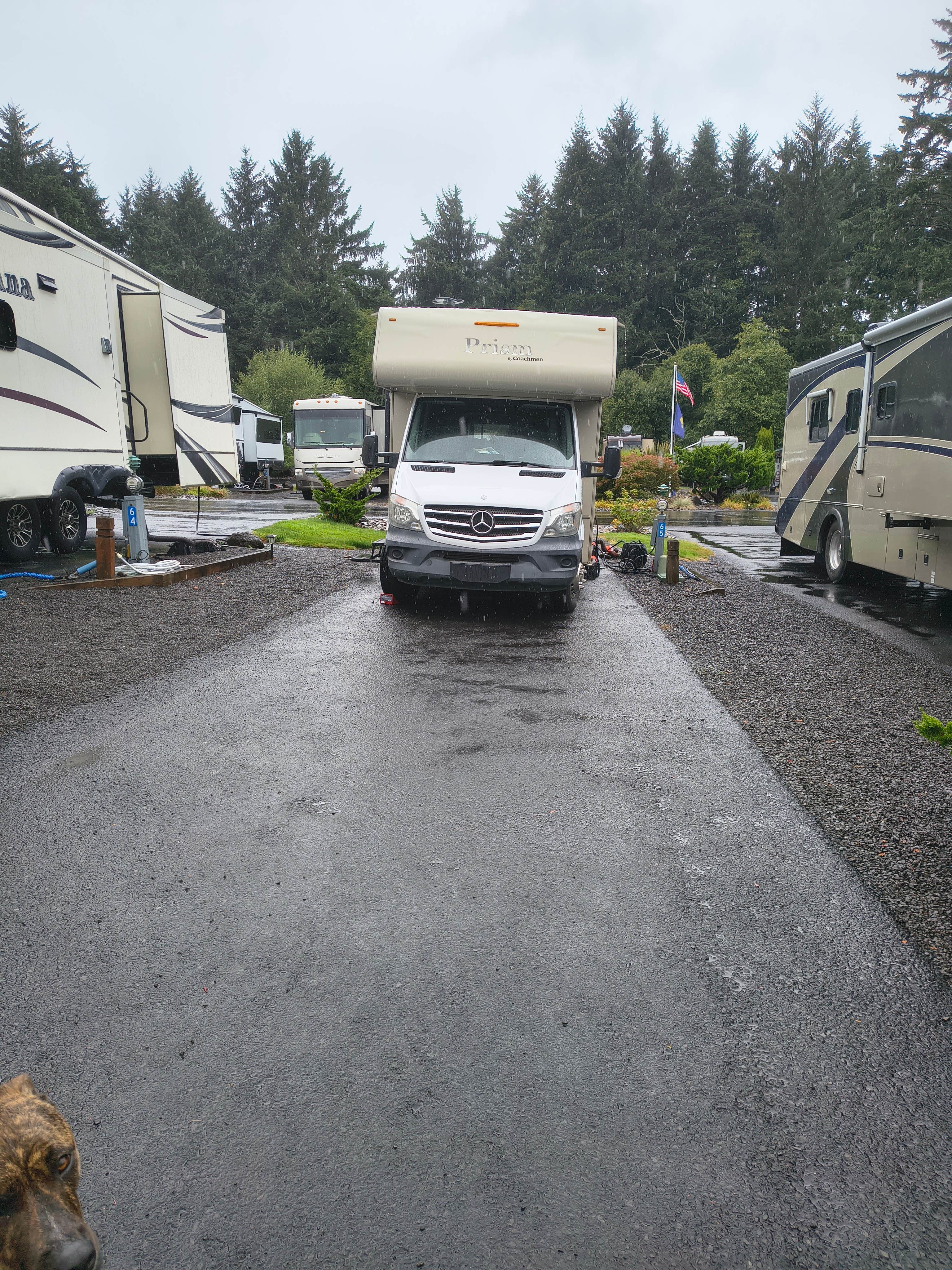 Carrie G.'s photo of camping with pets at Devils Lake RV Park near Otis, OR