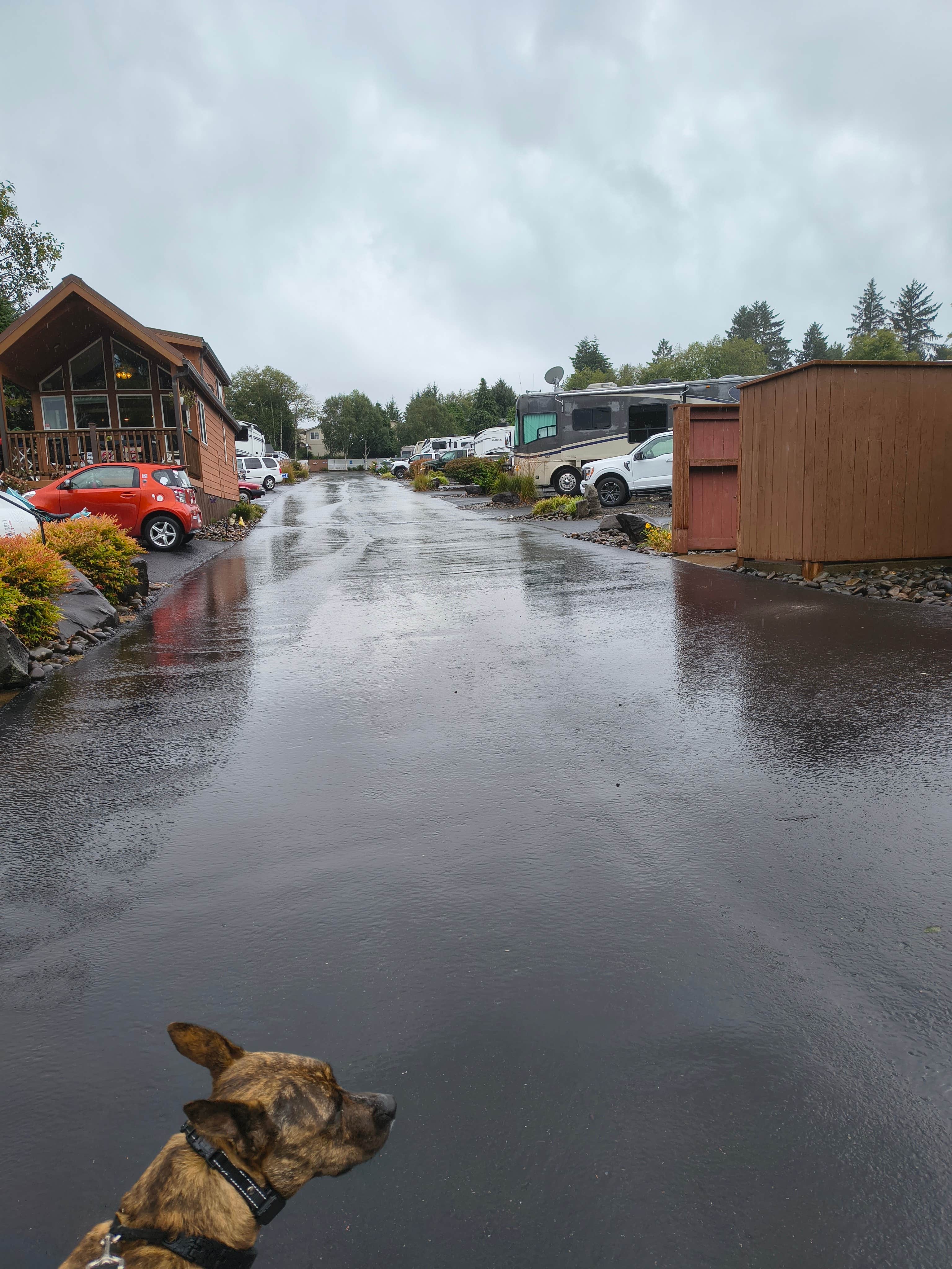 Camper-submitted photo at Devils Lake RV Park near Otter Rock, OR