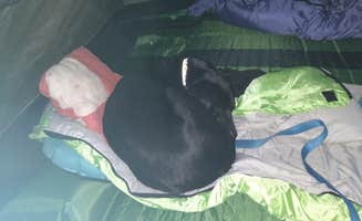 Kay K.'s photo of camping with pets at Devils Lake State Park Group Campground — Devils Lake State Park near Baraboo, WI