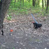 Review photo of Devils Lake State Park Group Campground — Devils Lake State Park by Kay K., August 24, 2025