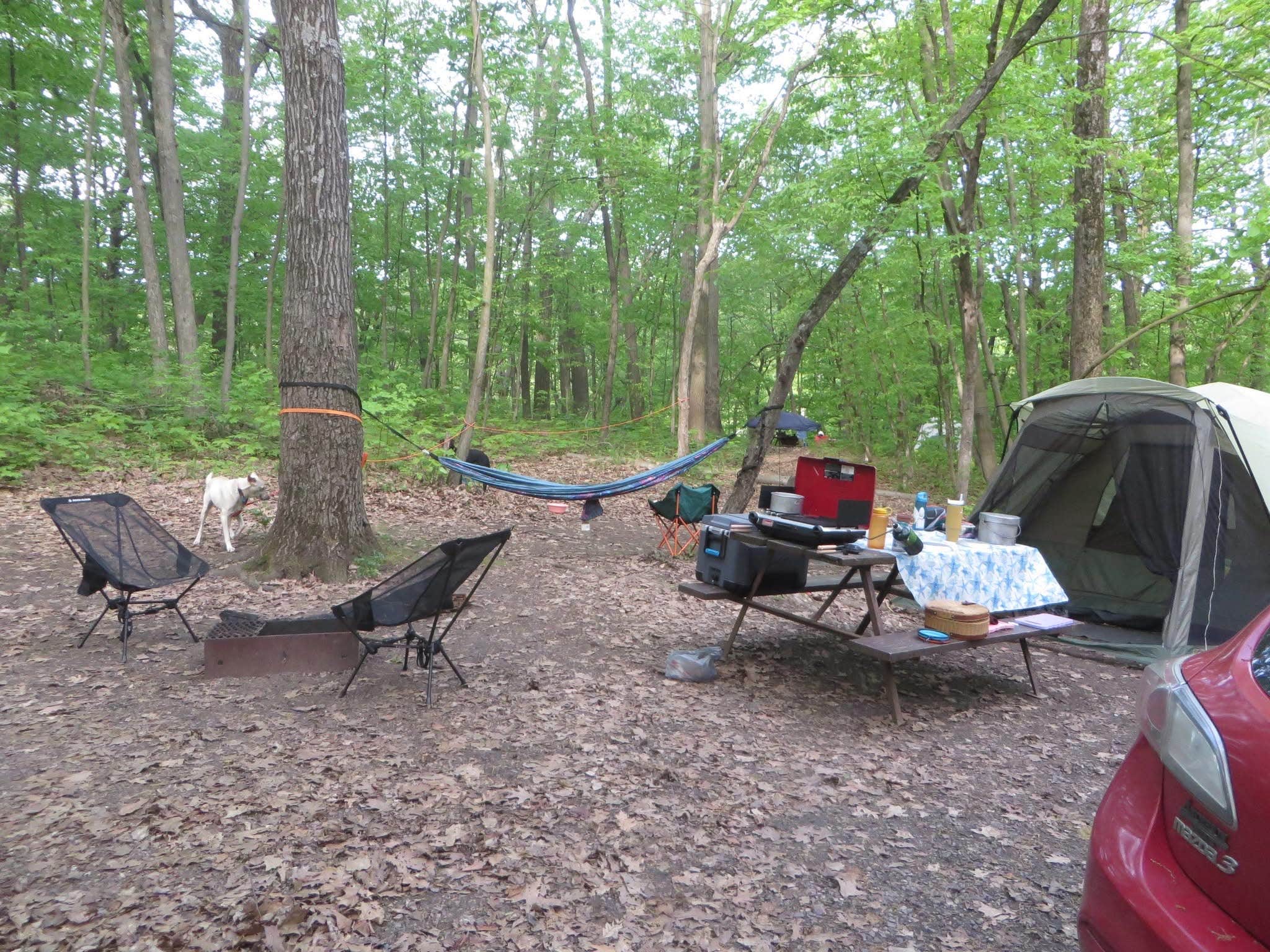 Kay K.'s photo at Devils Lake State Park Group Campground — Devils Lake State Park near Baraboo, WI