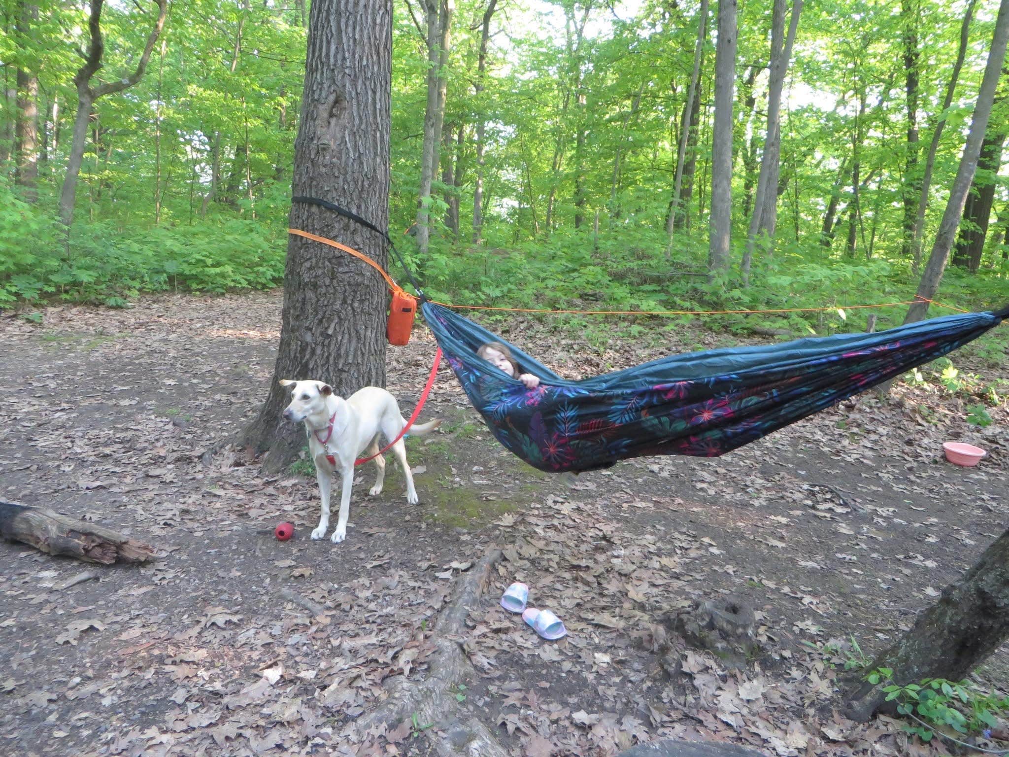 Kay K.'s photo of camping with pets at Devils Lake State Park Group Campground — Devils Lake State Park near Poynette, WI
